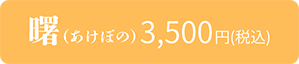 お弁当3500
