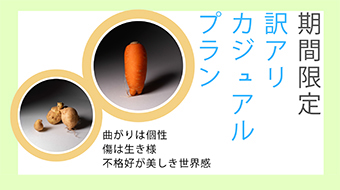 訳ありカジュアル